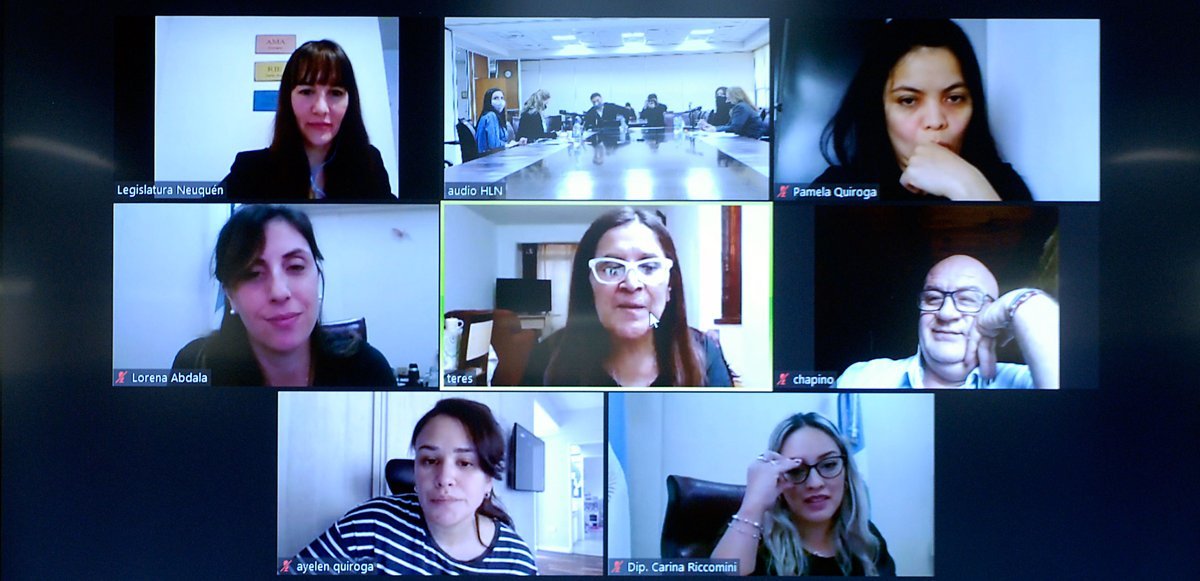 El proyecto contempla la capacitaci&oacute;n obligatoria en perspectiva de discapacidad de quienes integran los empleados estatales de la Provincia de Neuqu&eacute;n.