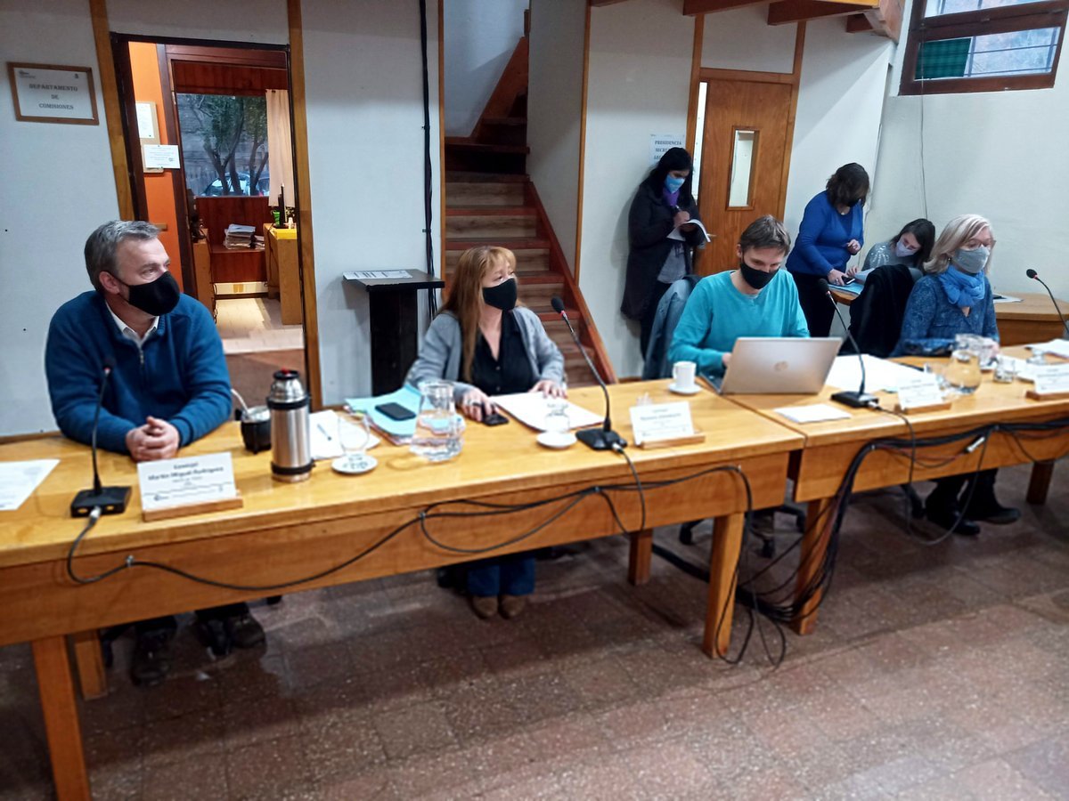 En la &uacute;ltima sesi&oacute;n del concejo deliberante de San Mart&iacute;n de Los Andes se aprob&oacute; por unanimidad la ordenanza N&deg; 13230.