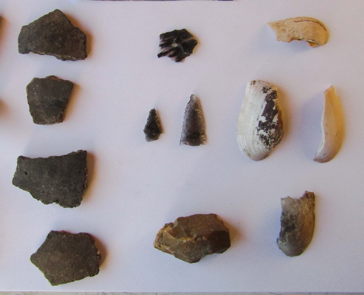 Detectaron representaciones de animales y motivos abstractos, realizados principalmente mediante t&eacute;cnicas de grabado en Pilo Lil, provincia de Neuqu&eacute;n.