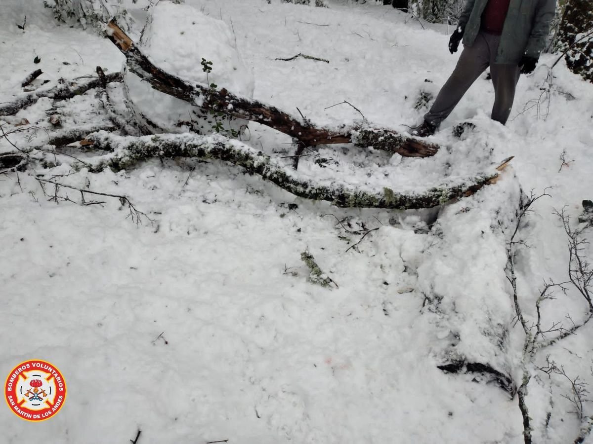 San Mart&iacute;n: La rama cay&oacute; en el jard&iacute;n donde jugaban los ni&ntilde;os&nbsp;