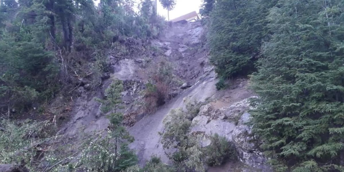 &Aacute;rboles quedaron en serio riesgo de derrumbe tras el alud.