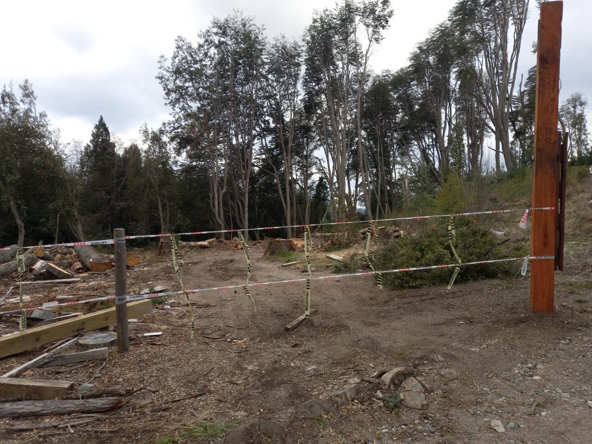 Concejales de distintos bloques realizaron visitas oculares al predio ubicado en el barrio Las Balsas.