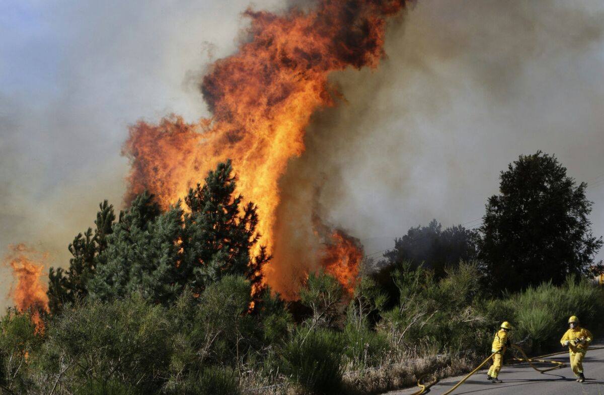 Prevenci&oacute;n de Incendios en PNL y San Mart&iacute;n de Los Andes.