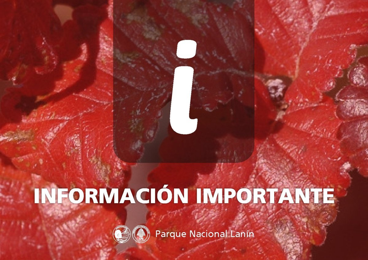 Cerraron las sendas del Parque Nacional Lan&iacute;n por los fuentes vientos que azotaron San Mart&iacute;n de los Andes
