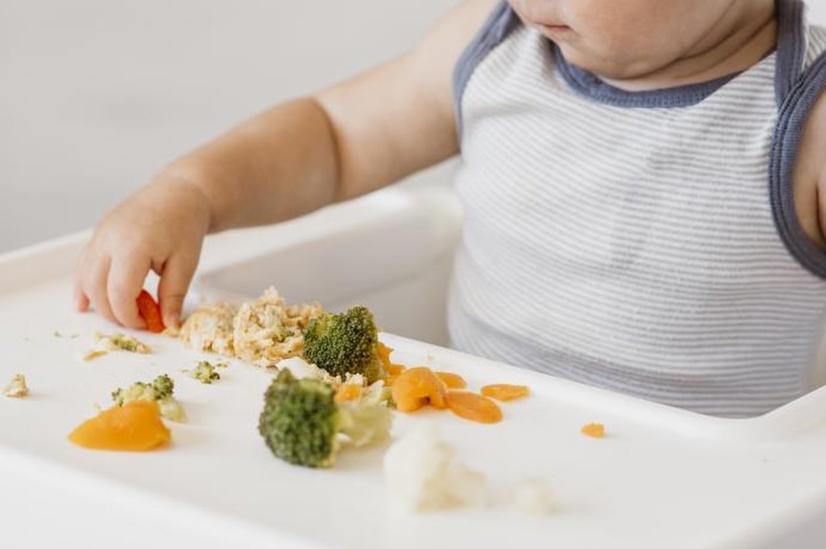 Lactancia y alimentos: la era del BLW