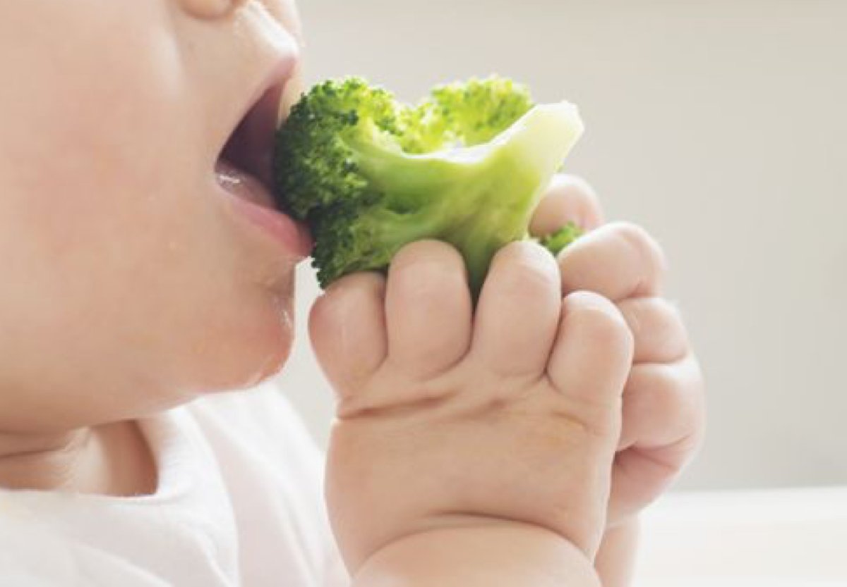 Alimentos y lactancia: la era del BLW