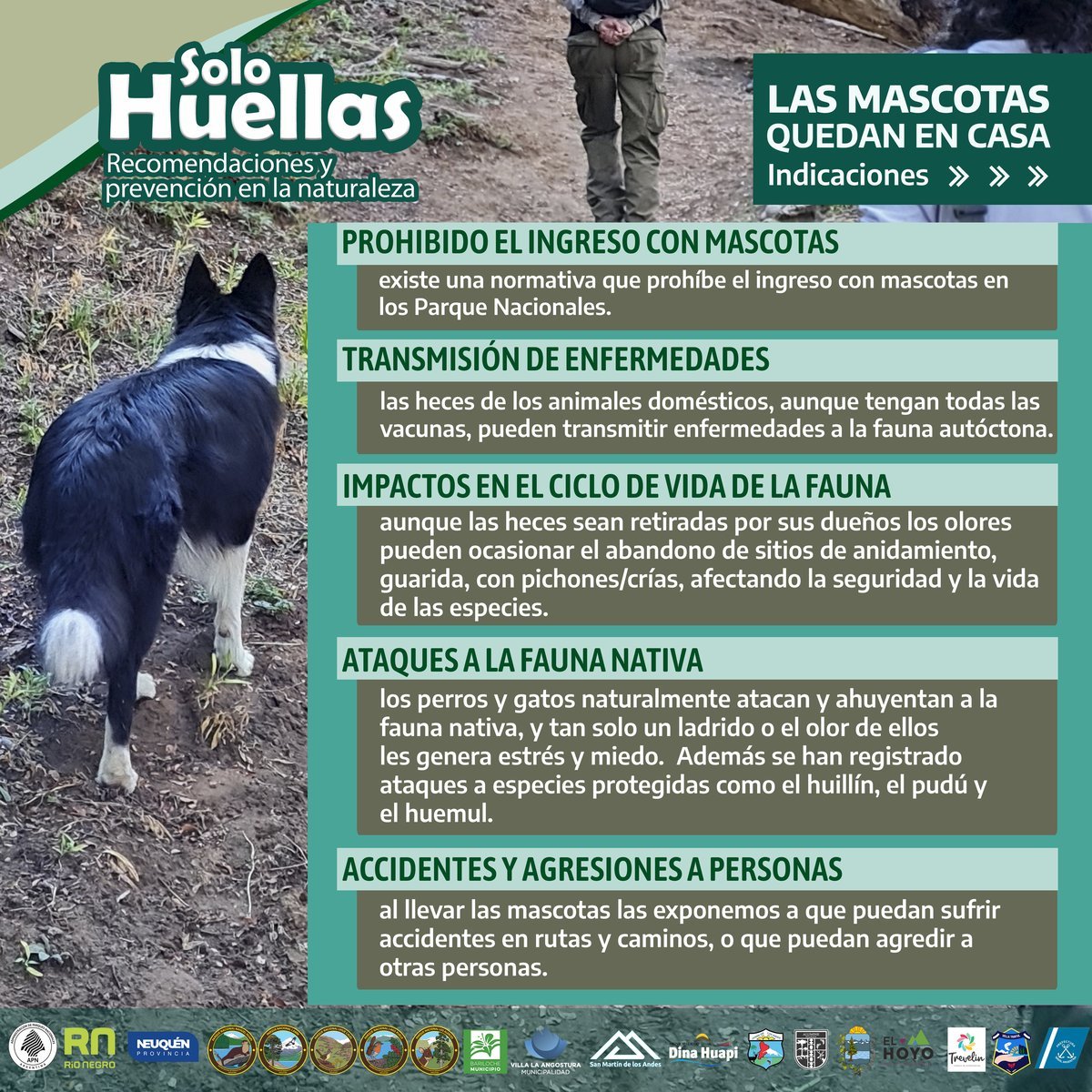 Campa&ntilde;a de Parques Nacionales para el verano