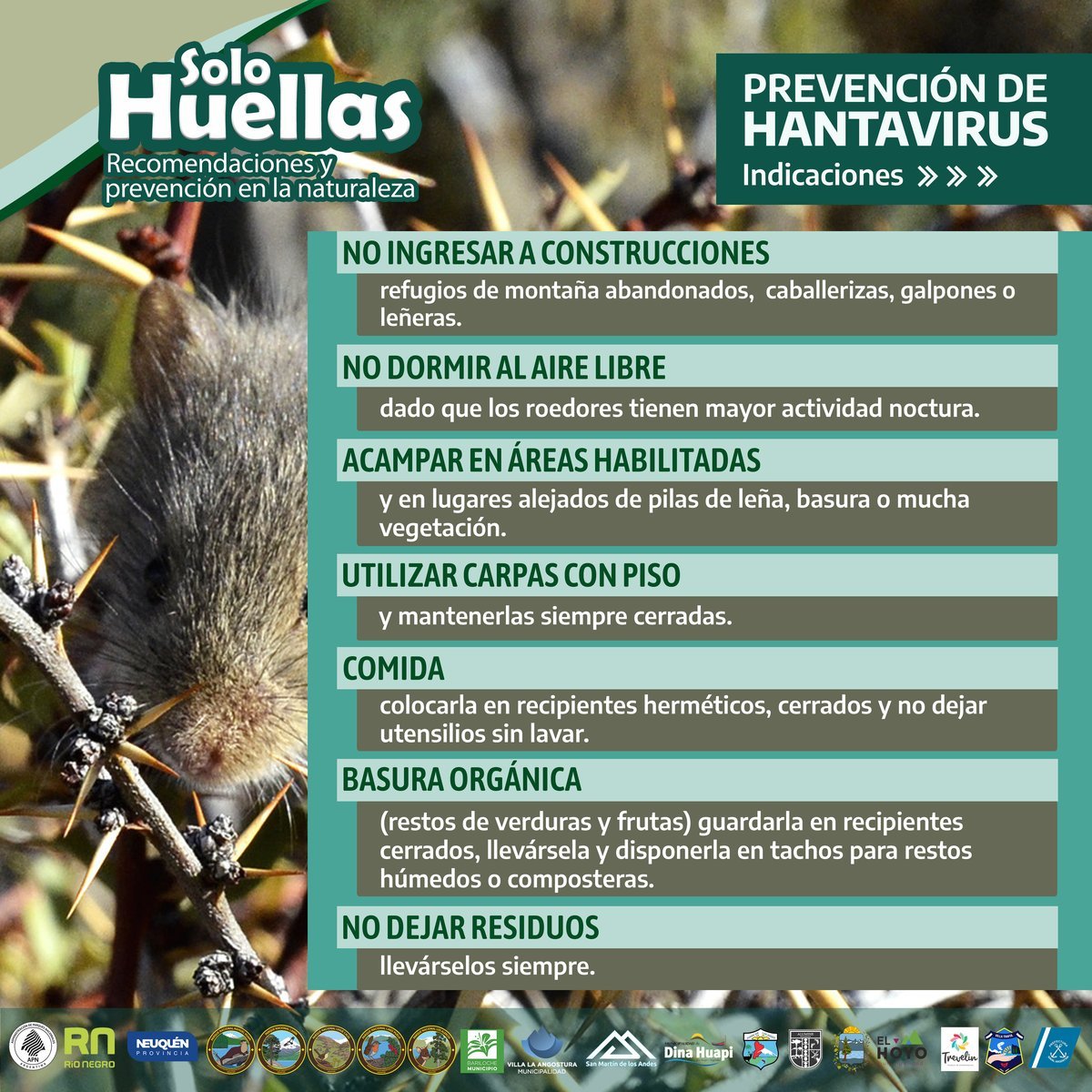 Parques Nacionales de Villa La Angostura y San Mart&iacute;n de los Andes se sumaron a esta campa&ntilde;a para prevenir el hantavirus