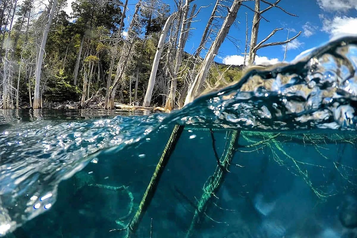 El Bosque Sumergido de Villa Traful: uno de los atractivos tur&iacute;sticos de la Patagonia