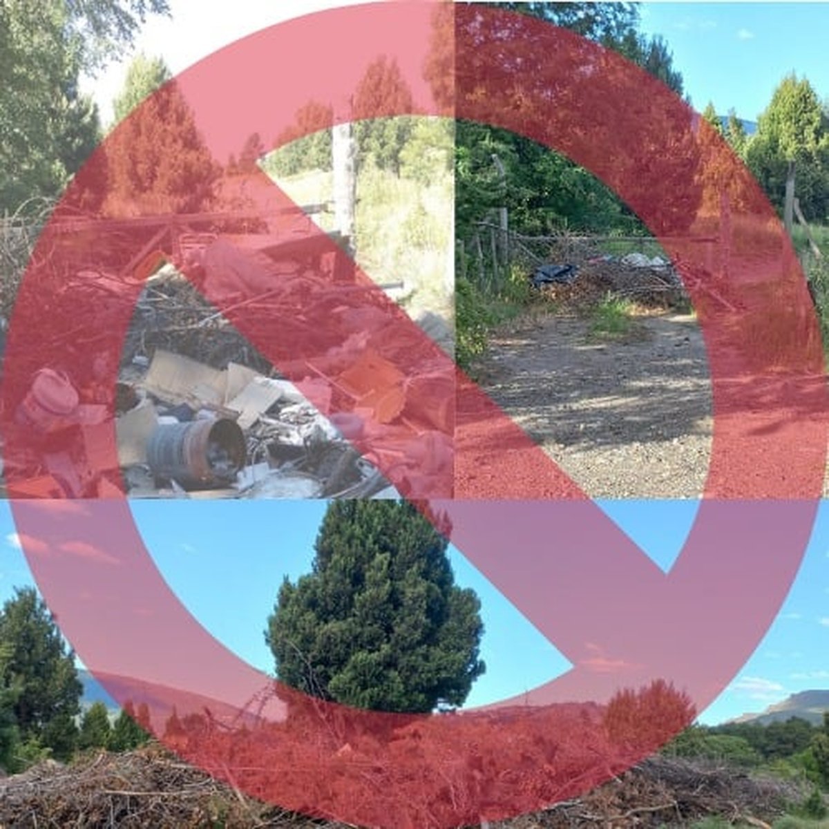 Piden colaboraci&oacute;n a vecinos y turistas de San Mart&iacute;n de los Andes.