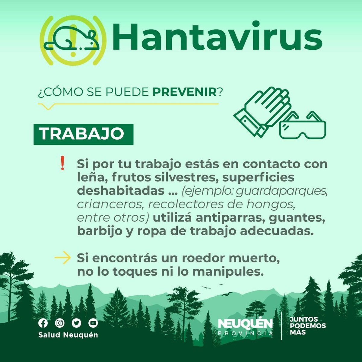 Desde Salud de la provincia de Neuqu&eacute;n recordaron las medidas para evitar el contagio de la enfermedad infecciosa del hantavirus.