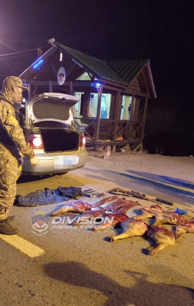 Jun&iacute;n de los Andes: personas demoradas por caza furtiva