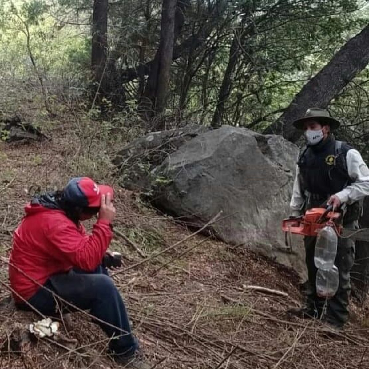 Los &aacute;rboles de cipr&eacute;s fueron talados y estaban a punto de ser retirados del predio en Bariloche.