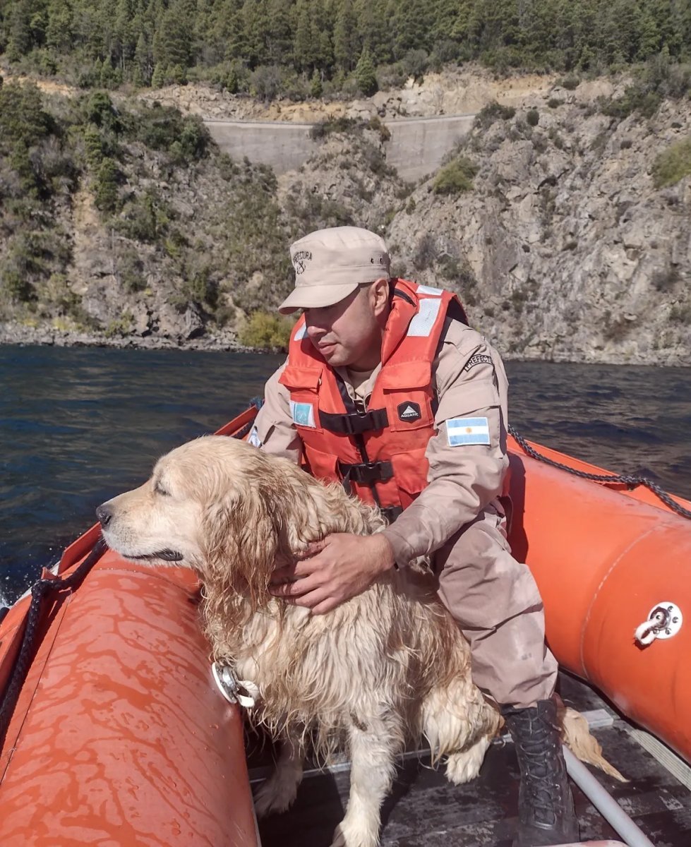San Mart&iacute;n de los Andes: Prefectura rescat&oacute; a un perro