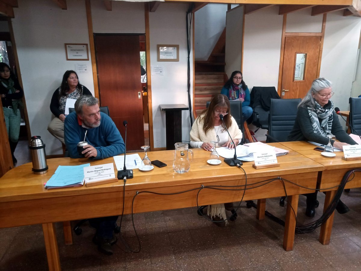 Integrantes de la Orquesta de Instrumentos Latinoamericanos "Musicantes" fueron declarados como nuevos embajadores culturales de San Mart&iacute;n de los Andes.