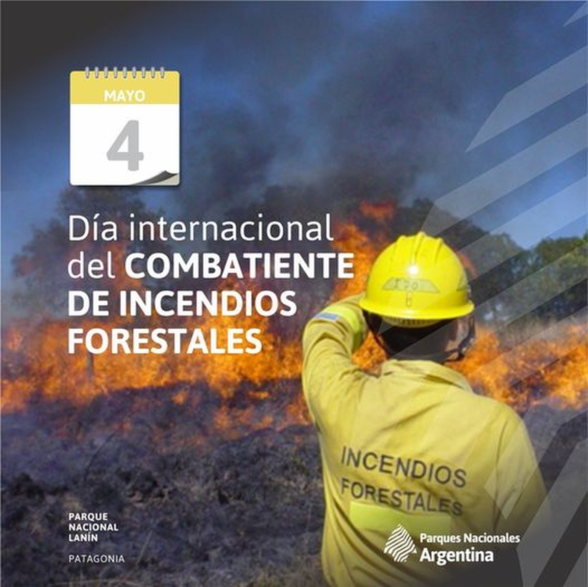 Desde el Parque Nacional Lan&iacute;n saludaron a los bomberos que trabajan en las zonas del Volc&aacute;n Lan&iacute;n e inmediaciones