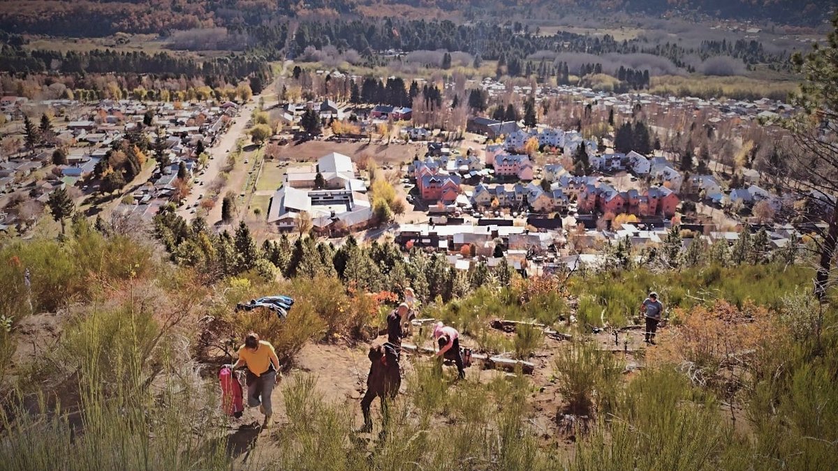 La jornada de plantaci&oacute;n se llev&oacute; adelante este fin de semana en Barrio Los Radales de San Mart&iacute;n de los Andes.
