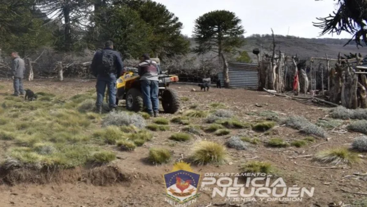 El imputado asesin&oacute; a Lorenzo Flores los Andes en Jun&iacute;n de los Andes. Foto: Polic&iacute;a de Neuqu&eacute;n.