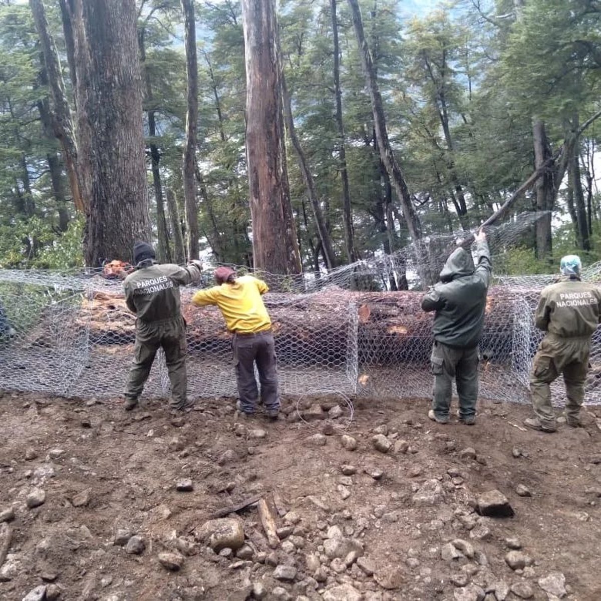 Obras en el camino a Cerro Tronador de Bariloche