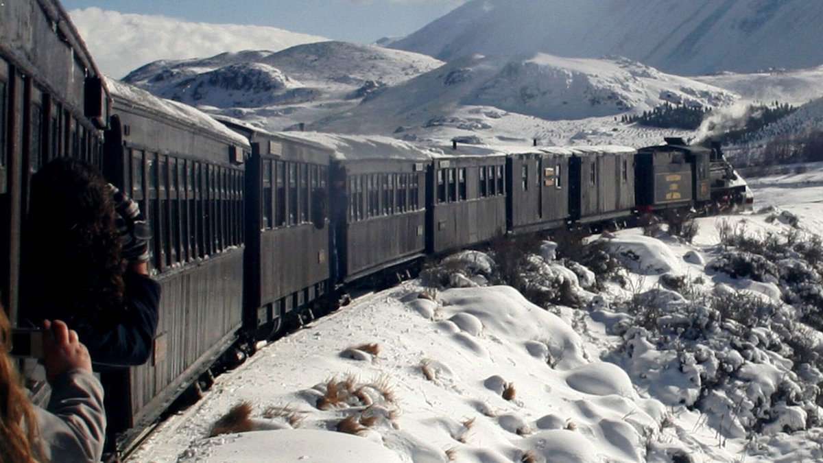 Tambi&eacute;n est&aacute;n a la venta los pasajes para La Trochita, otro servicio del Tren Patag&oacute;nico, que sale desde Ingeniero Jacobacci.