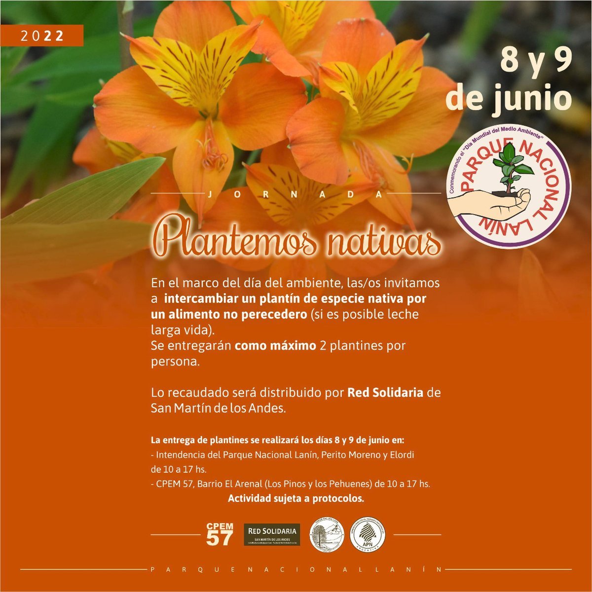 Jornada por el D&iacute;a del Medio Ambiente en el Parque Nacional Lan&iacute;n.