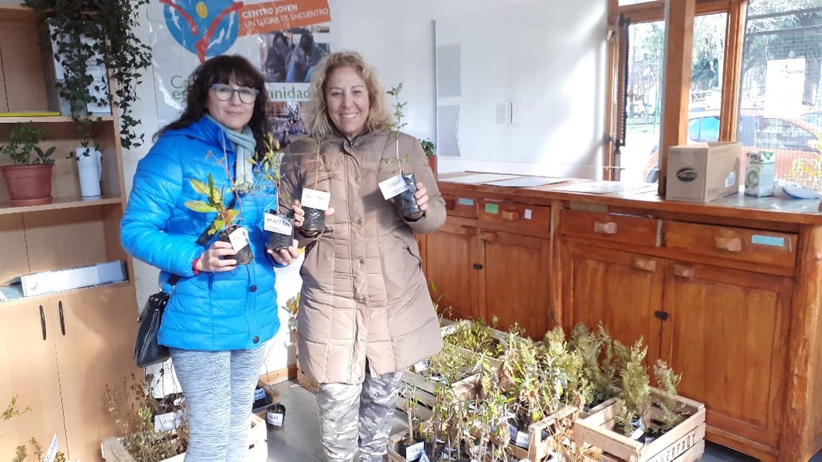 Intercambio de plantines por el D&iacute;a Mundial del Medio Ambiente en el Parque Nacional Lan&iacute;n.