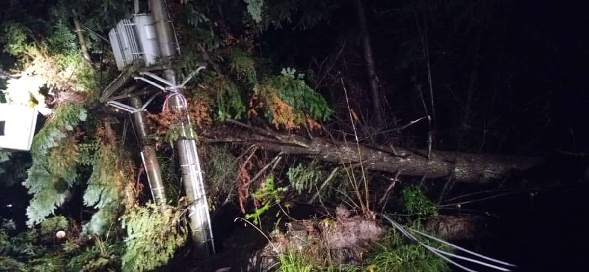 Villa La Angostura: Reparan da&ntilde;os y ca&iacute;da de &aacute;rboles por el temporal.