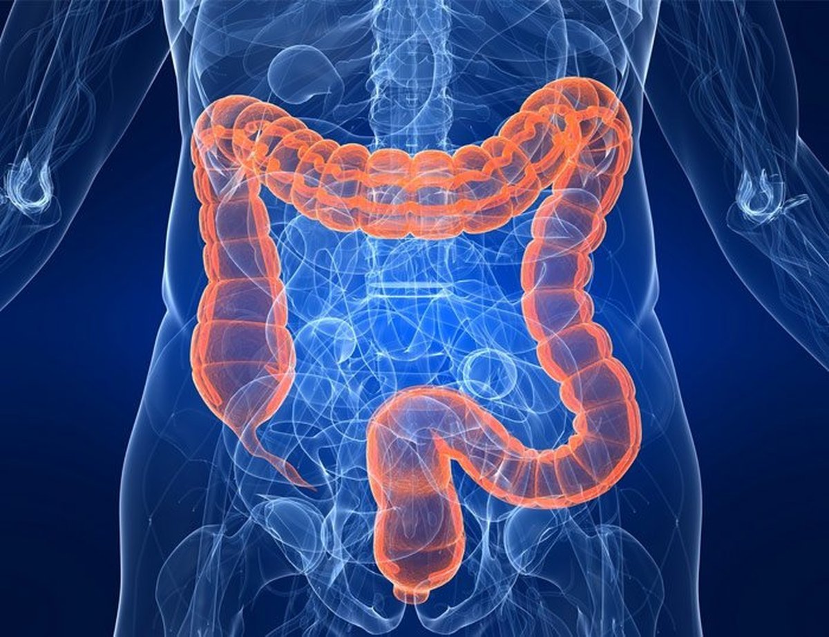 Salud: Los s&iacute;ntomas del colon irritable. Alimentos recomendados&nbsp;