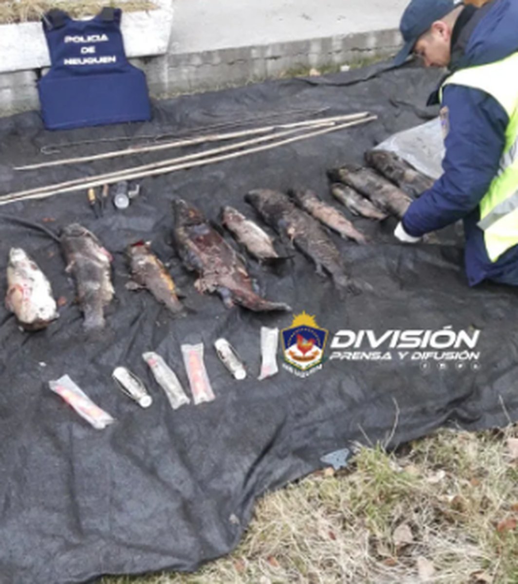 Pesca furtiva en Villa La Angostura&nbsp;