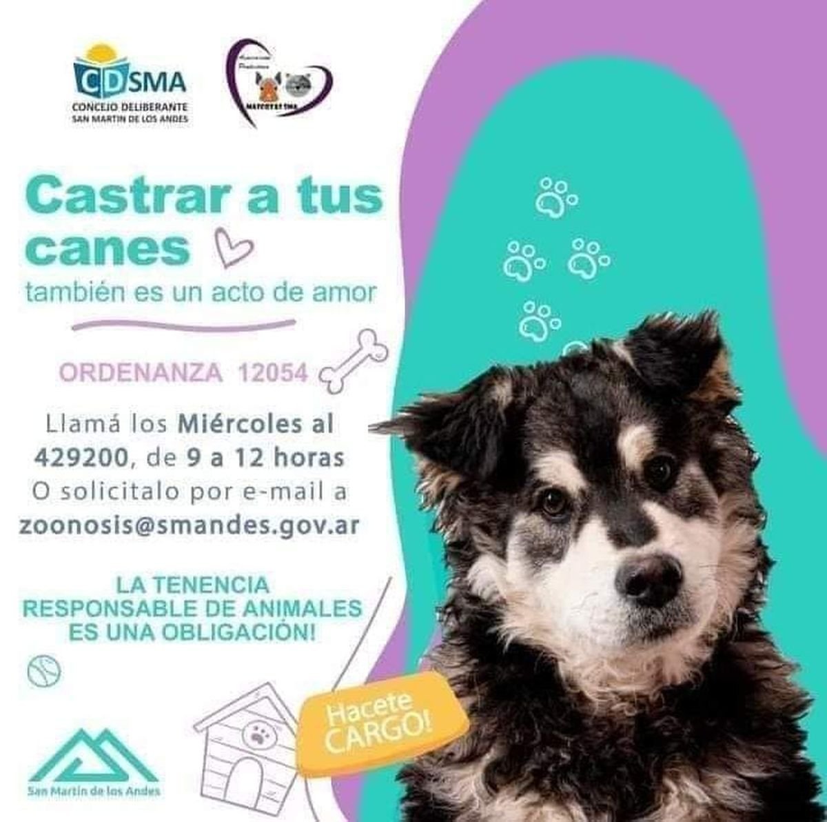 Nuevos turnos para castraci&oacute;n en San Mart&iacute;n de los Andes.