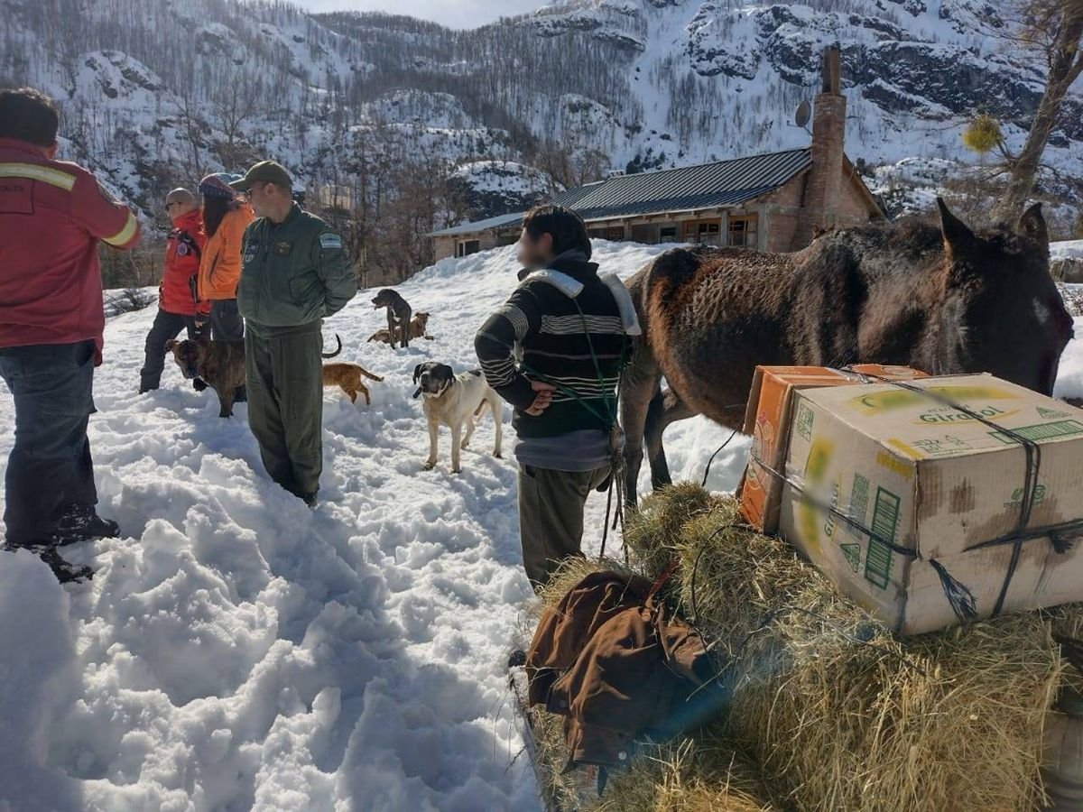 La asistencia de los gendarmes a pobladores aislados por la nieve&nbsp;