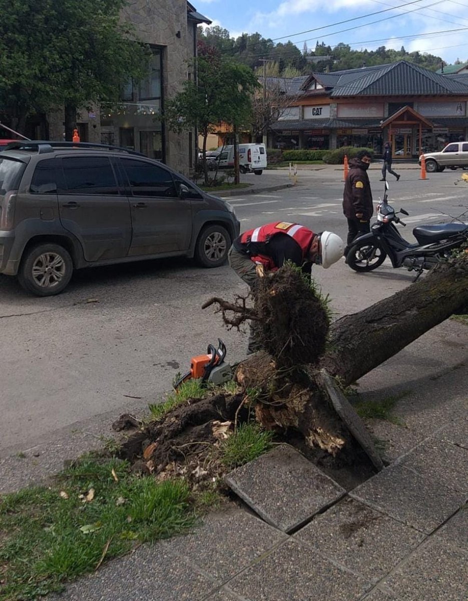 San Mart&iacute;n de los Andes: Fuerte temporal de viento