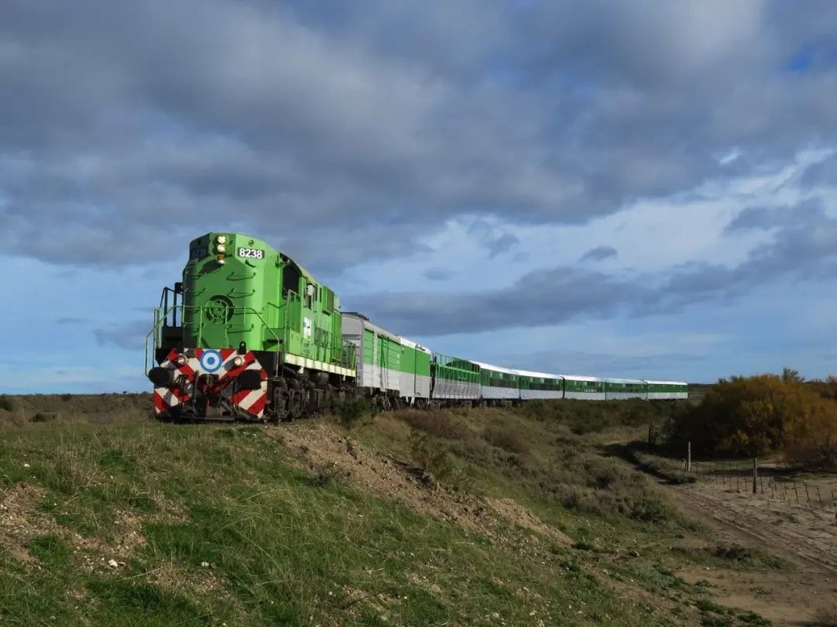Tren Patag&oacute;nico