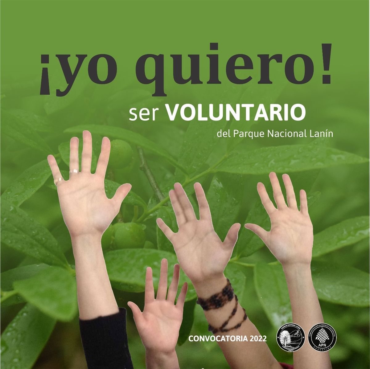 El Parque Nacional Lan&iacute;n busca voluntarios para 2023.