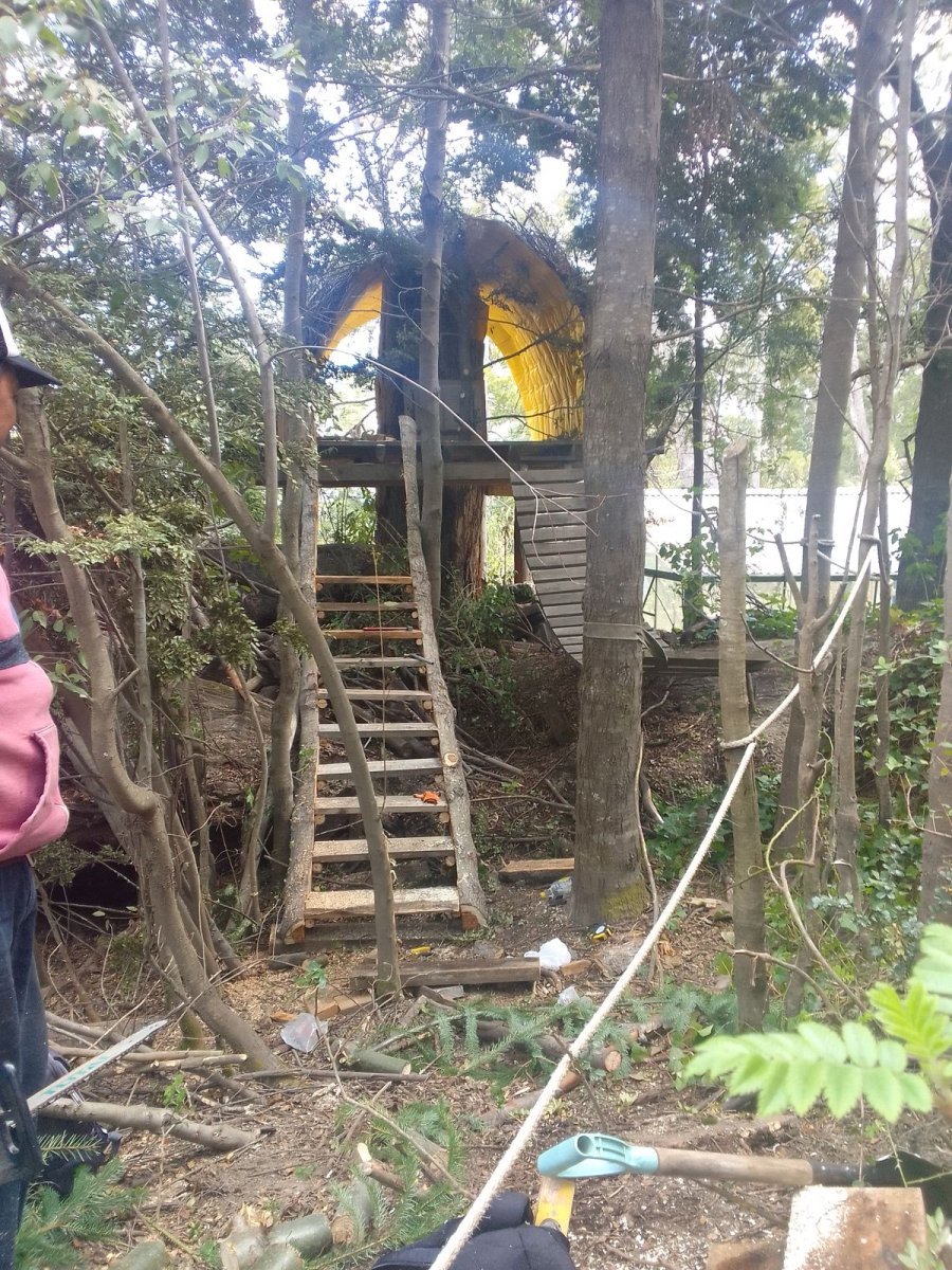 Villa La Angostura: Una Biblioteca sobre un &aacute;rbol en medio del bosque