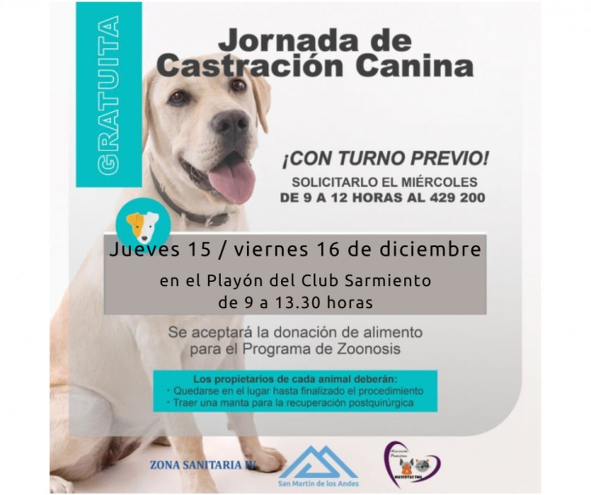 Jornadas de castraci&oacute;n canina en San Mart&iacute;n de los Andes.