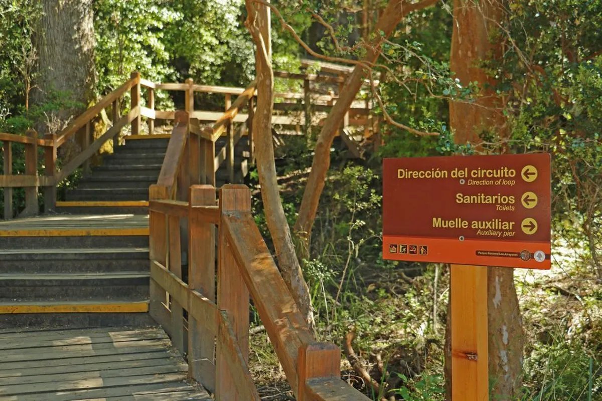 Bosque de los Arrayanes - Villa La Angostura
