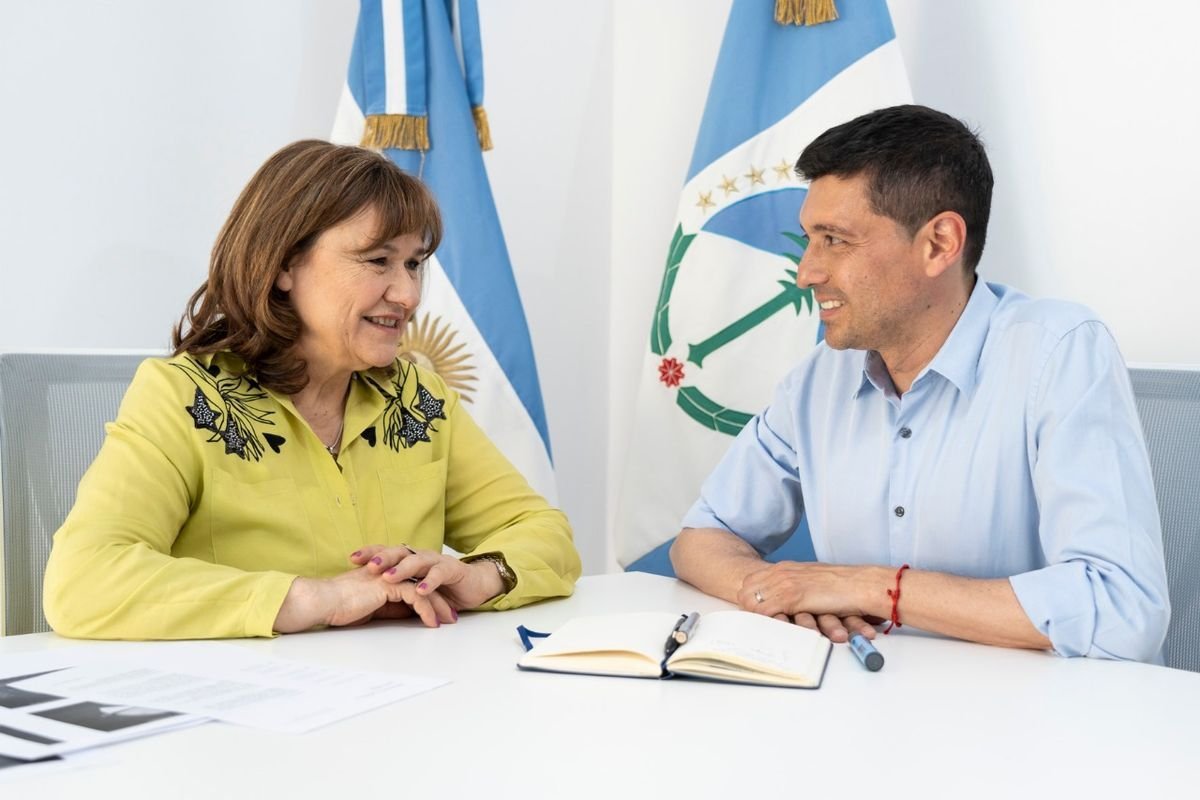 Koopmann cuestion&oacute; duramente el pedido del gobierno nacional