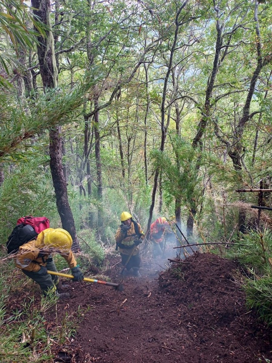 Brigadistas trabajando en la zona del incendio.