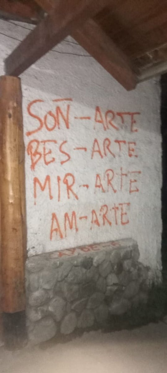 Vandalismo en Villa La Angostura
