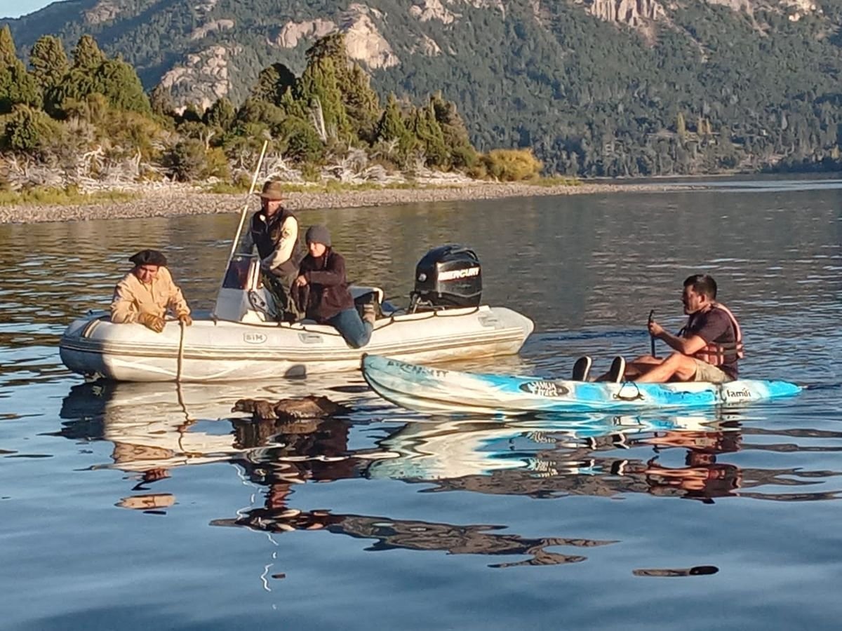 Patagonia: rescataron un c&oacute;ndor en Lago Traful.
