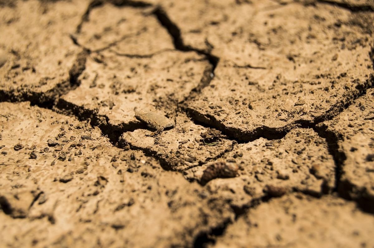 Emergencia agropecuaria en Neuqu&eacute;n por las sequ&iacute;as