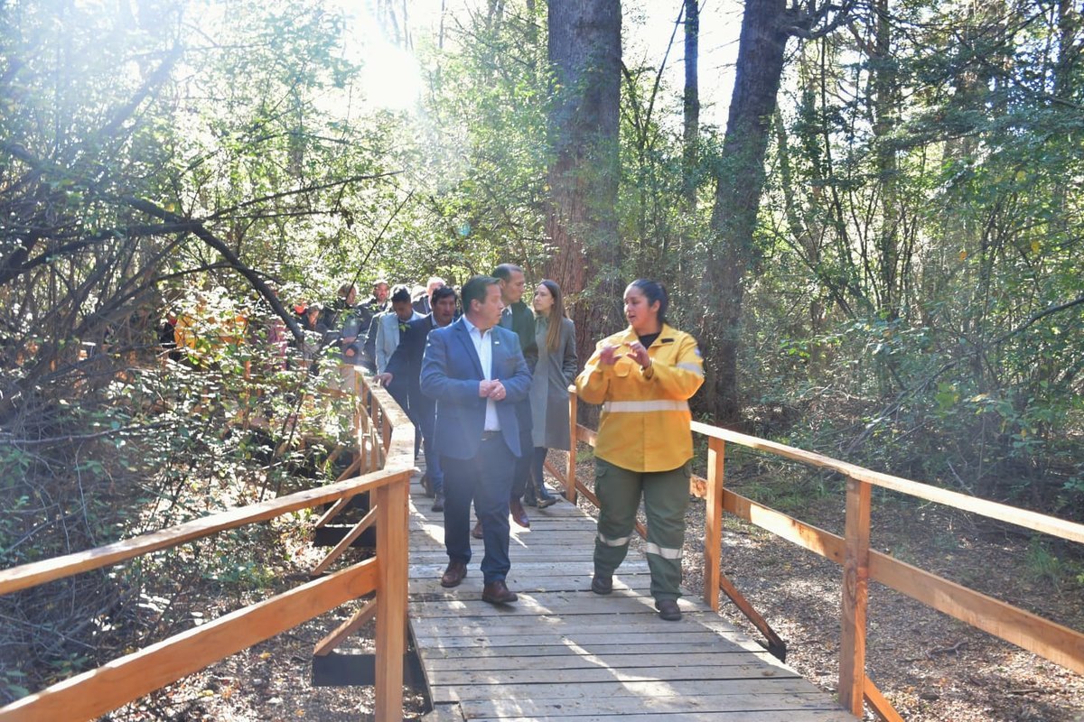 &Aacute;rea natural protegida Selva Triste, Villa La Angostura, Neuqu&eacute;n.