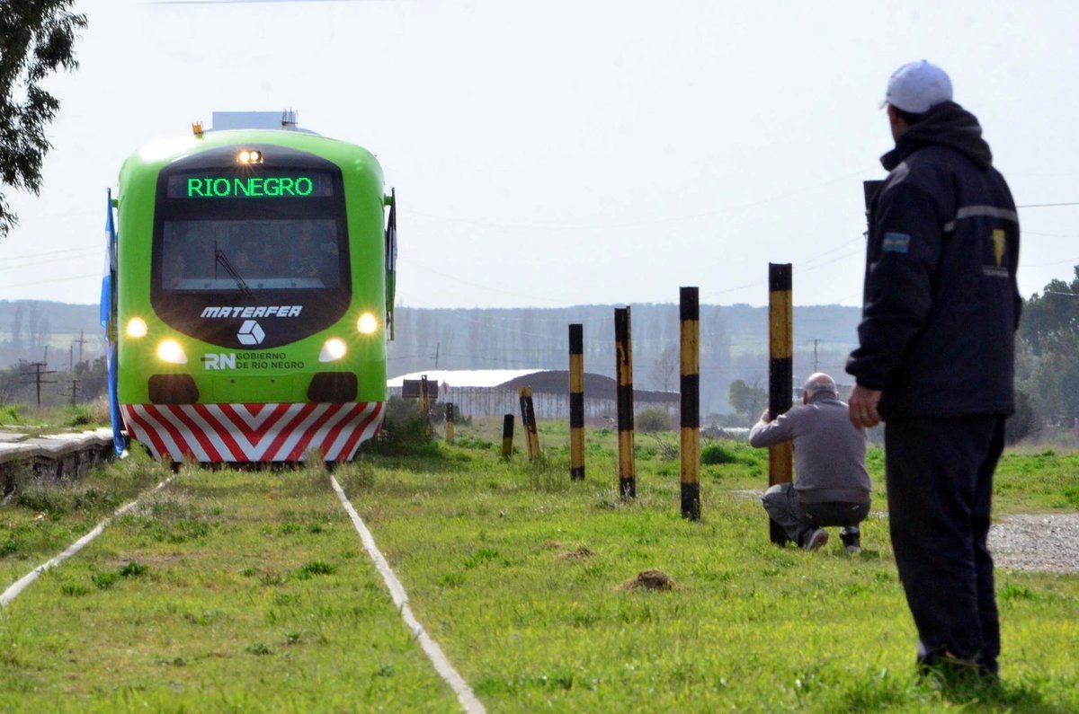 Tren Patag&oacute;nico