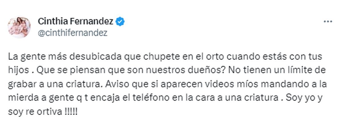 Redes: el enojo de Cinthia Fern&aacute;ndez con una mujer.