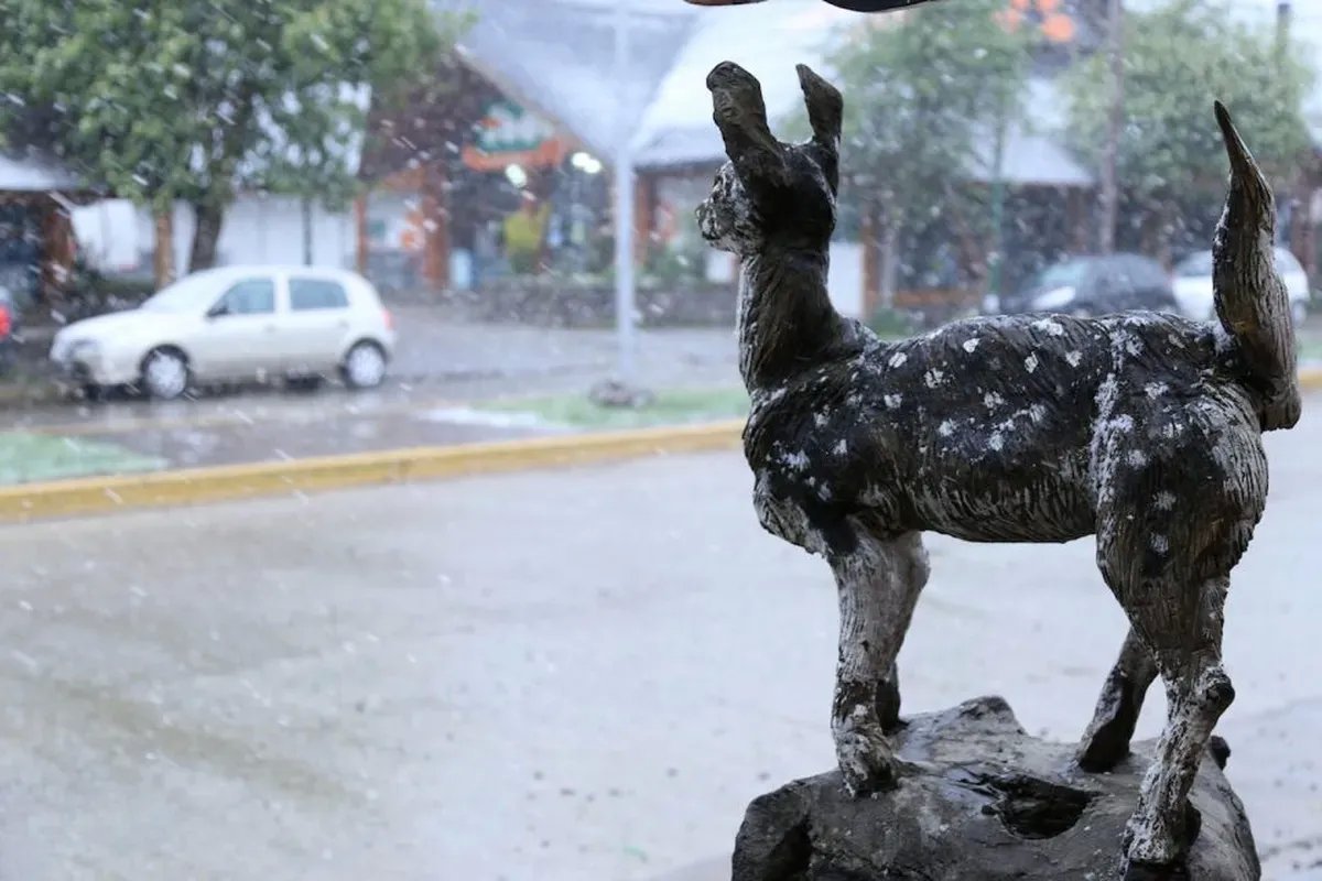 Clima en la regi&oacute;n desde el 31/7