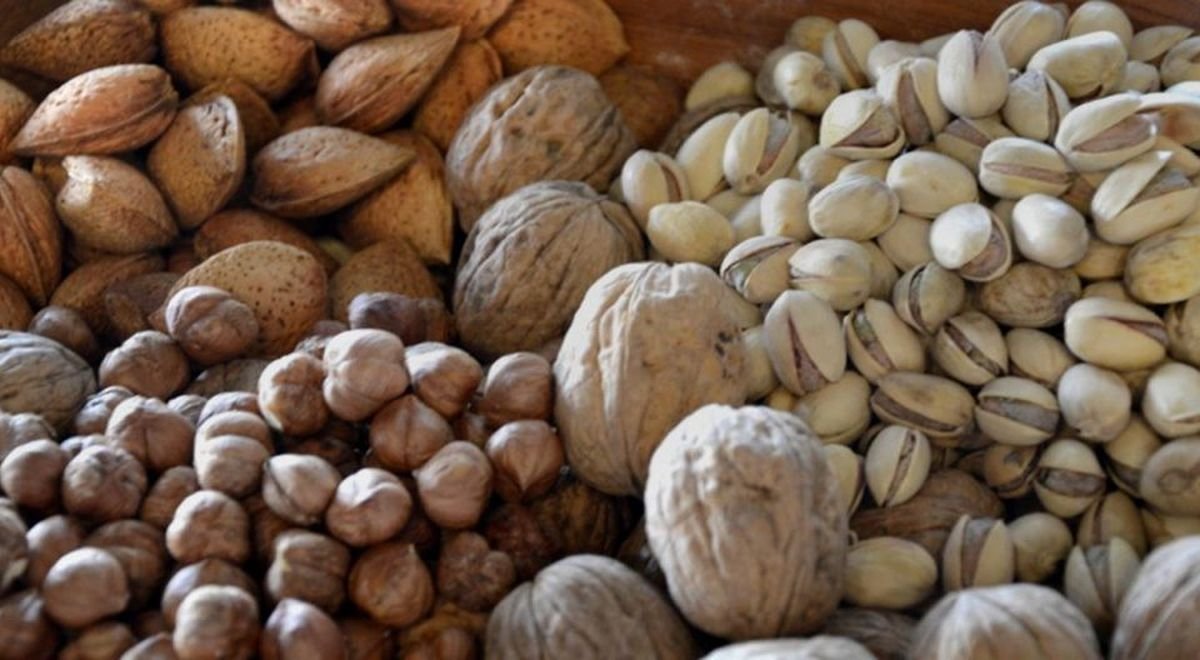 Fiesta de los Frutos Secos (Viedma - R&iacute;o Negro)