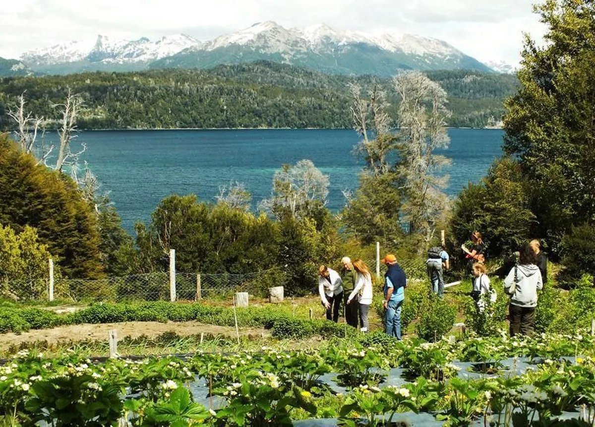 Eco Huertas Angostura