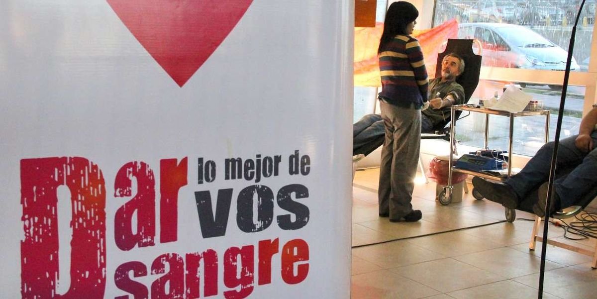 San Mart&iacute;n de los Andes: colecta de sangre N&deg;50.
