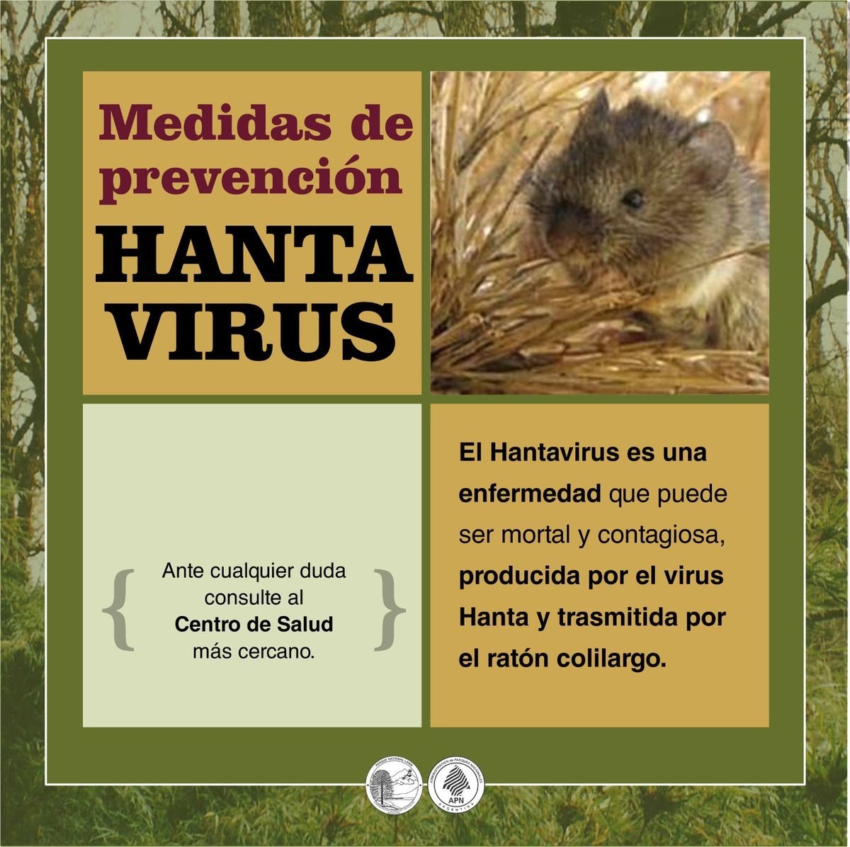 Hantavirus: acciones para prevenir la enfermedad.